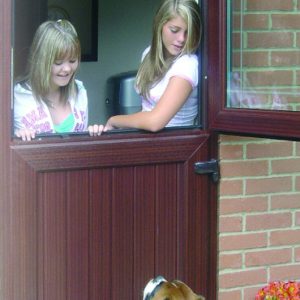 Stable Doors
